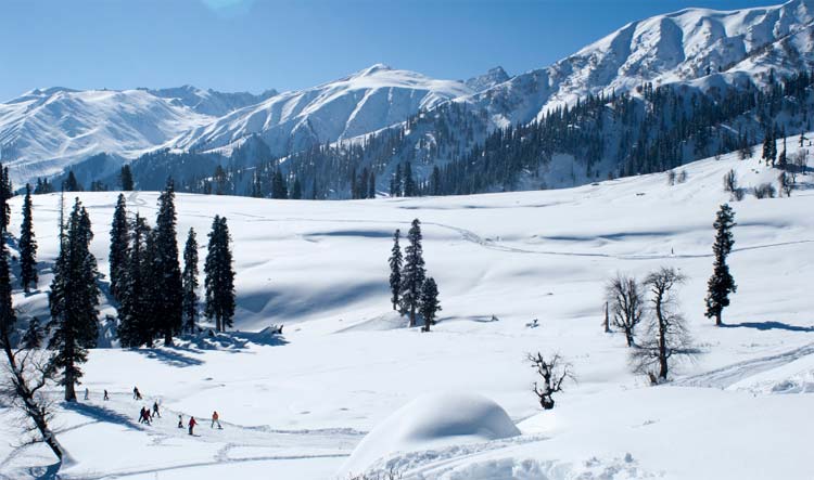 Must Visit Tourist Spots in Kashmir for Travelers