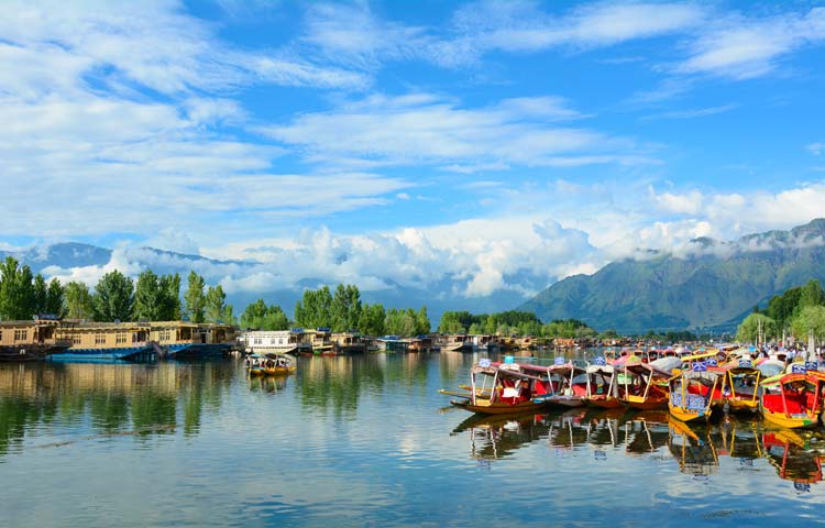Dal Lake Srinagar Complete Travel Guide