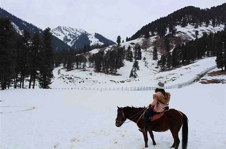 Pony Ride Excursions in Kashmir