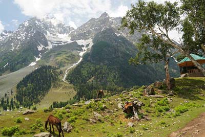 Kashmir Tour for 4 Days