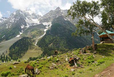 Kashmir tourism packages from Amravati