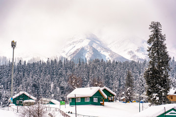 Gulmarg Paradisе for Kashmir Tours