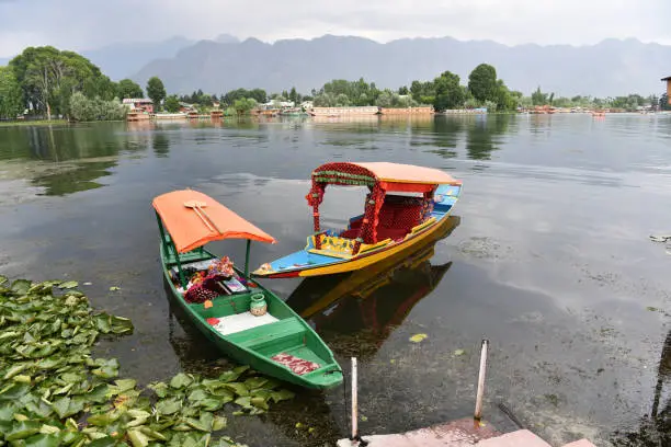 Kashmir