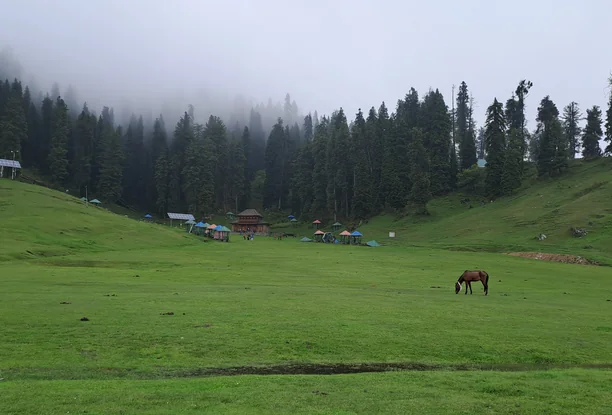 4 Nights 5 Days Kashmir Tour Package