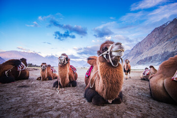 Kashmir with Ladakh Tour 15 Days
