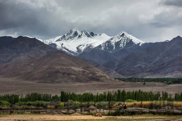 Leh Ladakh Tour Packages from Mumbai – 5 Nights 6 Days