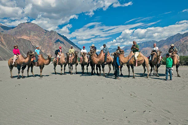 Leh Ladakh Tour Packages from Vadodara – 8 Days Scenic Himalayan Trip