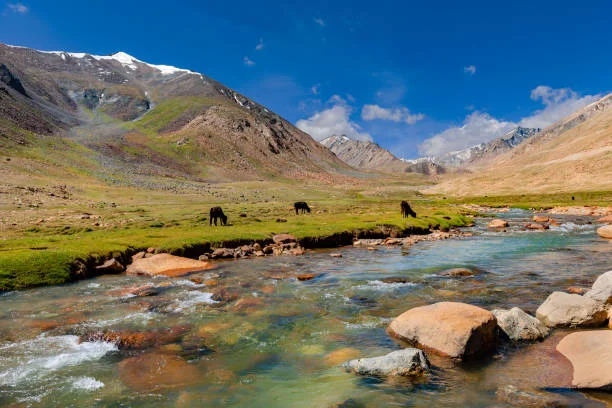 Leh Ladakh Tour Packages from Nashik - 7days-Tour