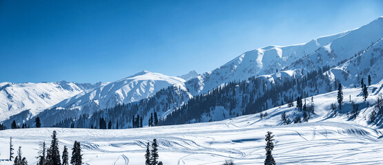 Kashmir with Ladakh Tour 15 Days