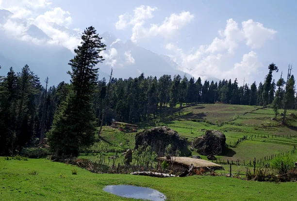 Kashmir Group Tour - 5 Days