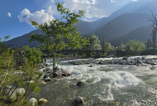 Kashmir Honeymoon Package - 5 Days
