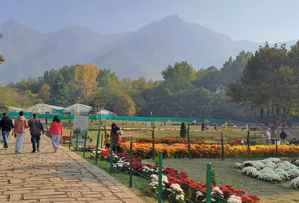 Kashmir Meadow of Flowers Tour Package – 5 Nights / 6 Days