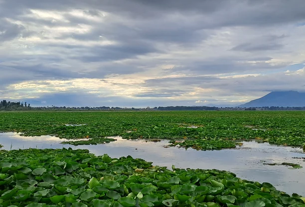 Kashmir Meadow of Flowers Tour Package – 5 Nights / 6 Days