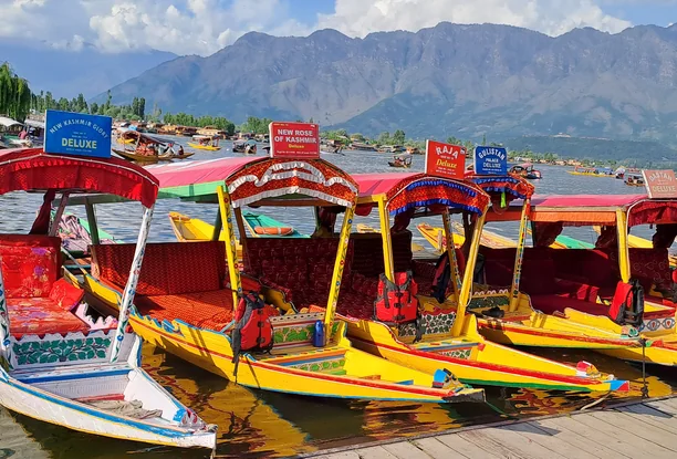 Kashmir Meadow of Flowers Tour Package – 5 Nights / 6 Days
