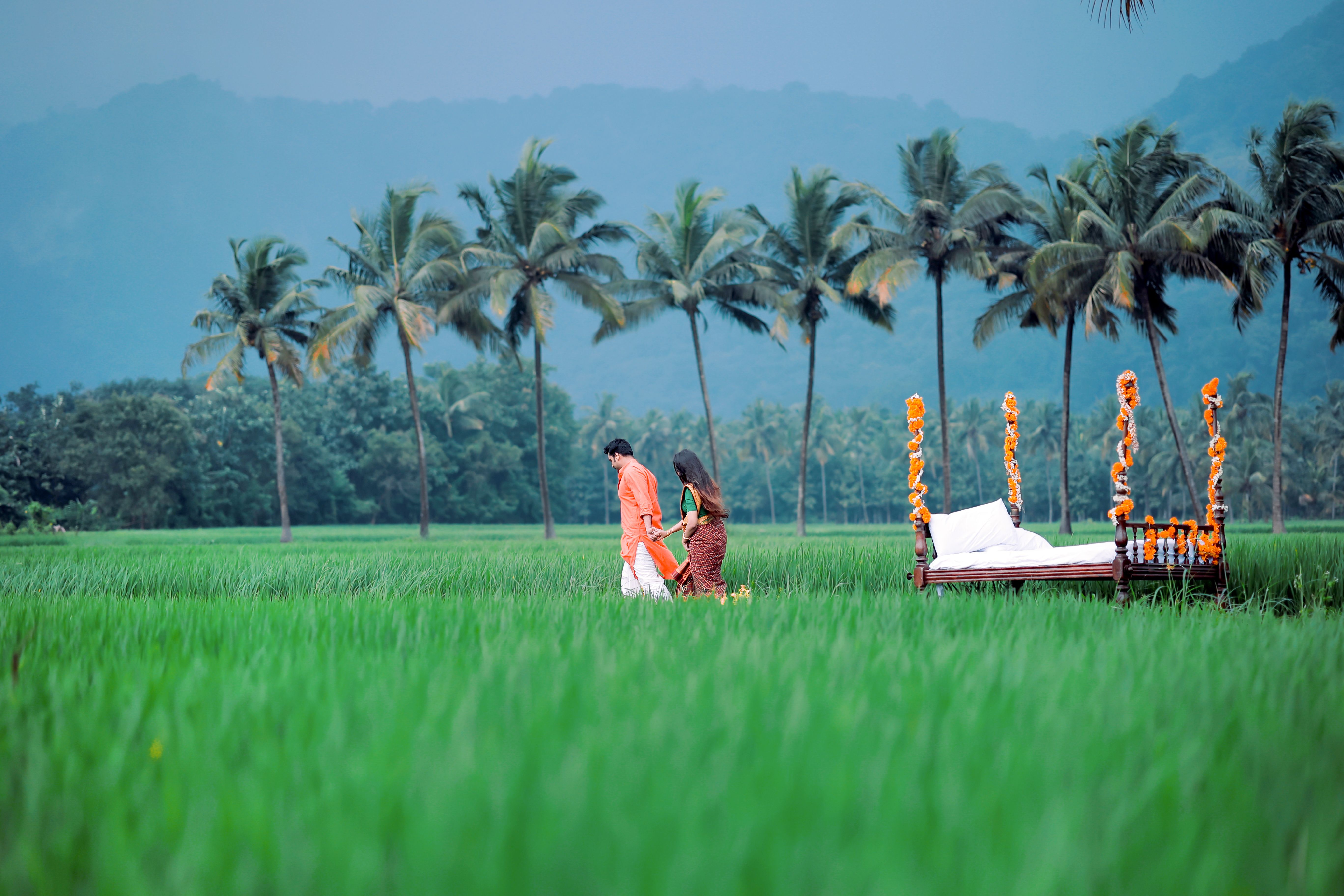Kerala Honeymoon Tour Package – 6 Nights / 7 Days