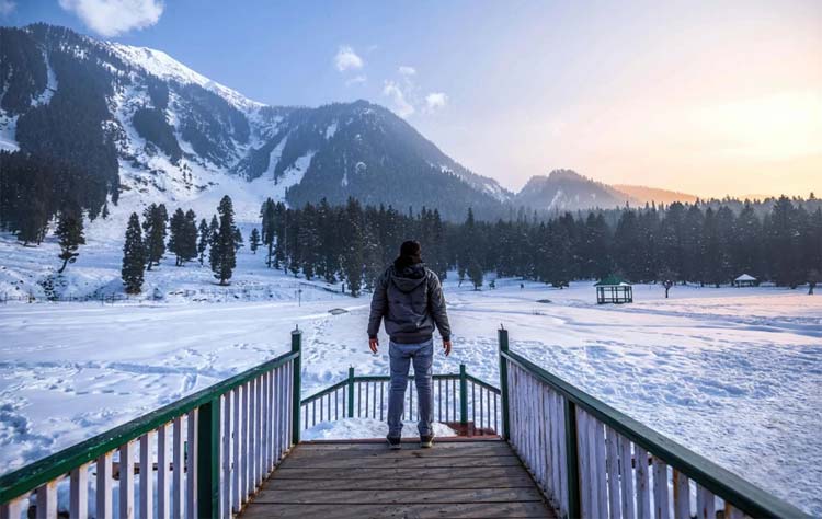 Best Time to Visit Kashmir